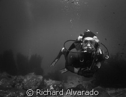 My Dive Buddy by Richard Alvarado 